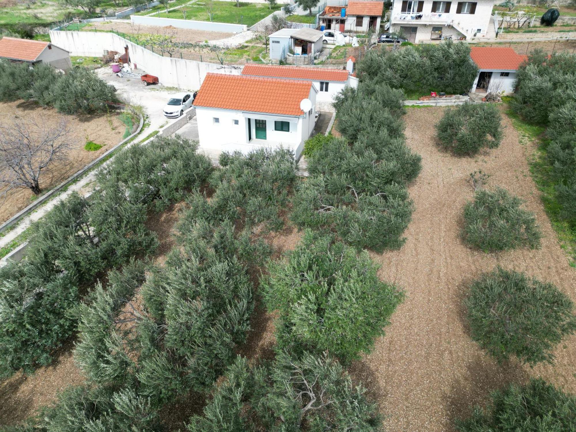 Ferienhaus Nature